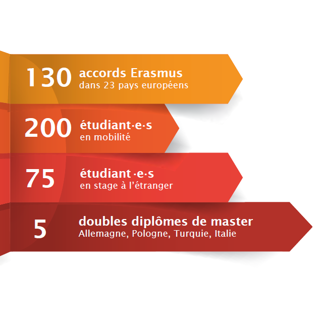 Chiffres de l'international en LLSH