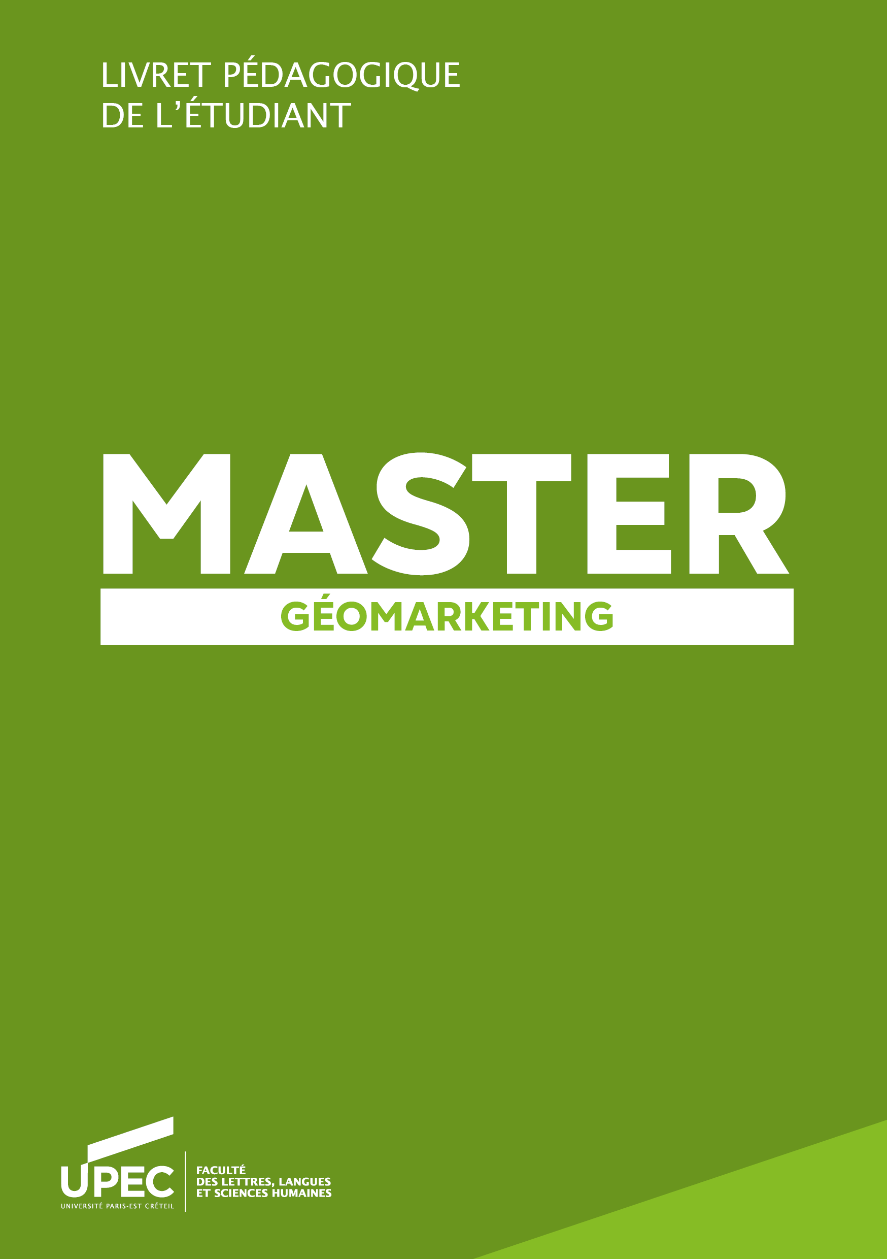 géomarketing