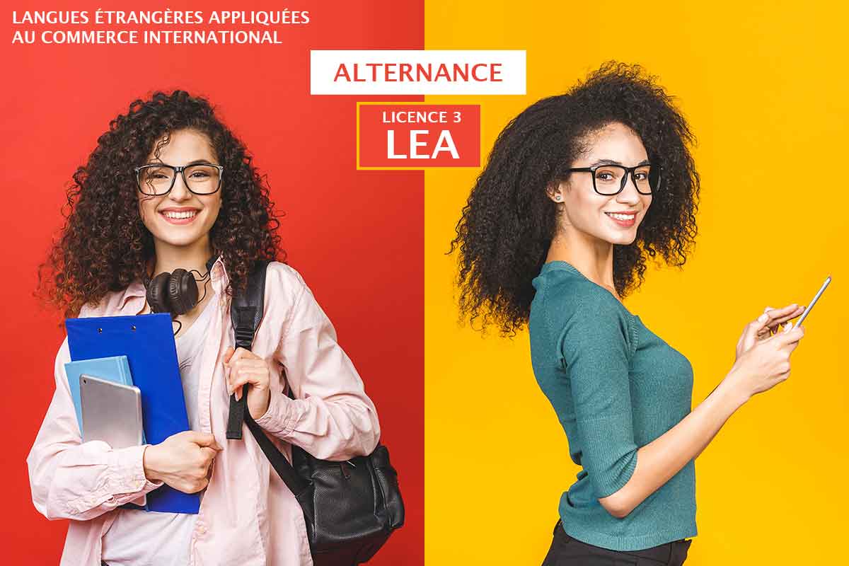 Licence LEA en alternance