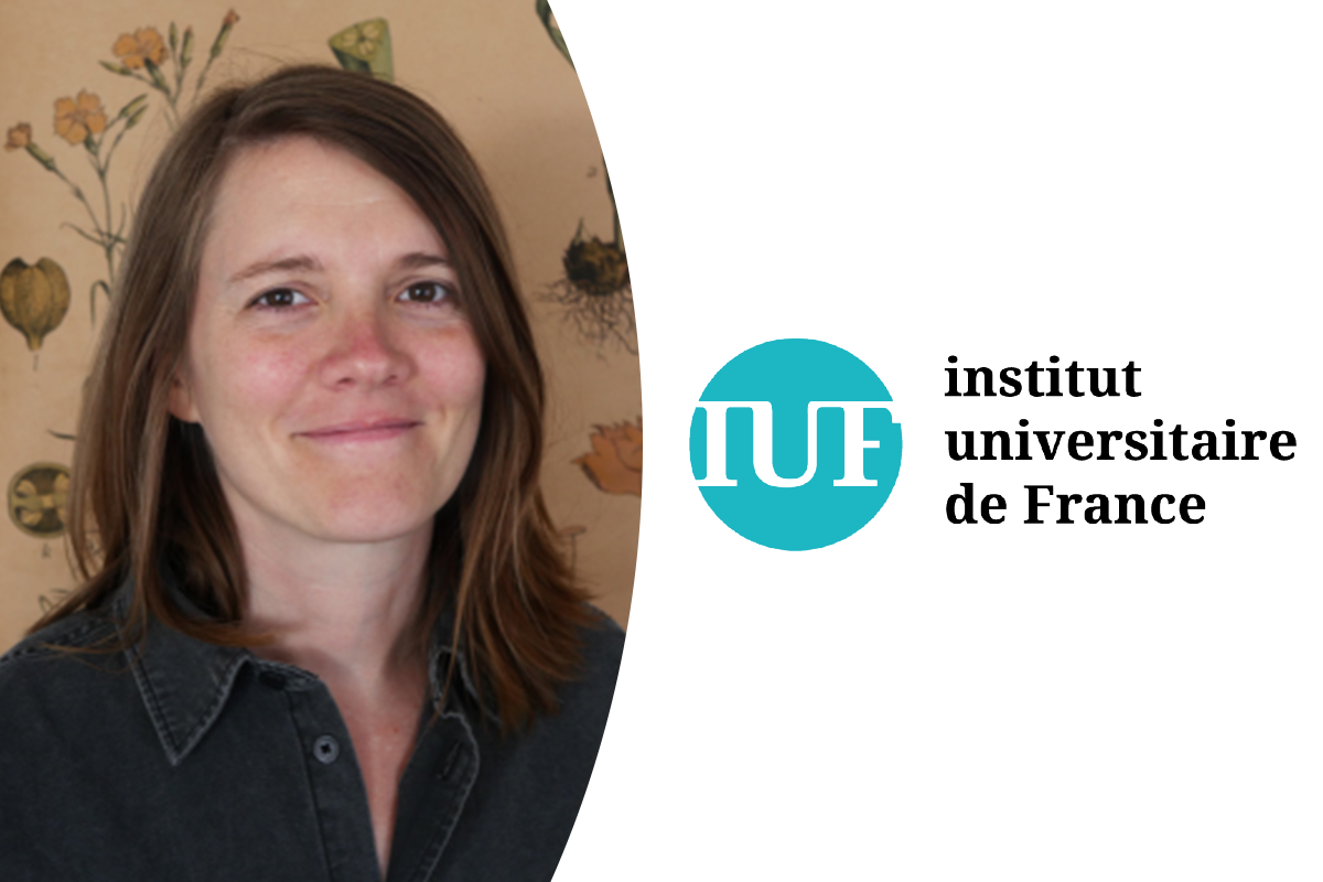 iuf alice garnier